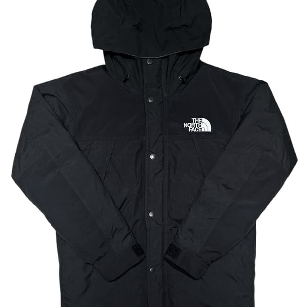 더 노스페이스 고어텍스 마운틴 다운 자켓