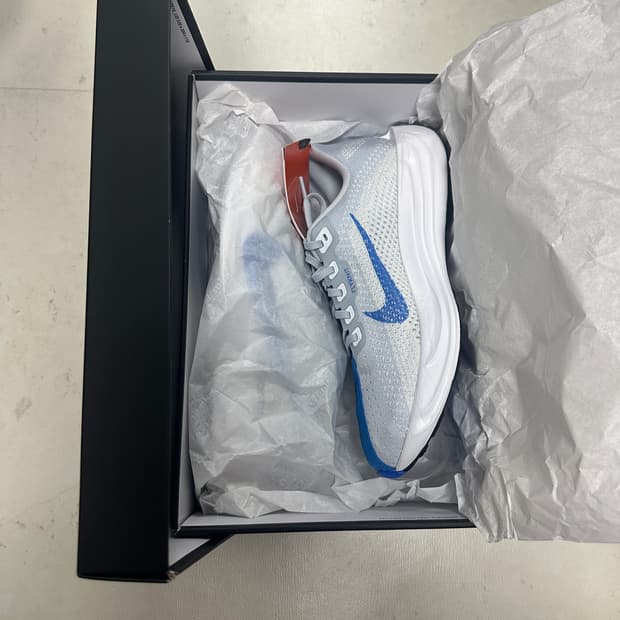 [260] 나이키 페가수스 플러스