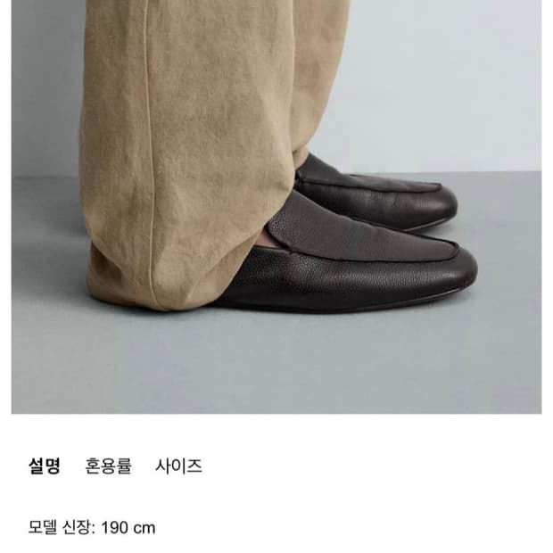 자라 레더 로퍼 260