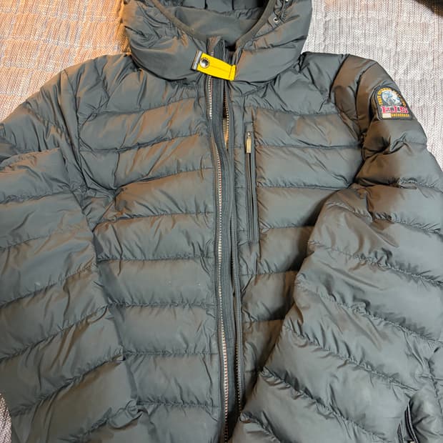 파라점퍼스 라스트미닛 L