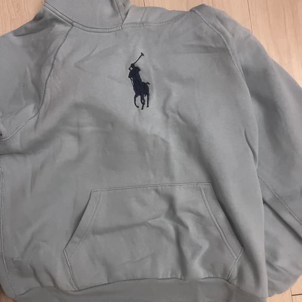 폴로 빅포니 후드티