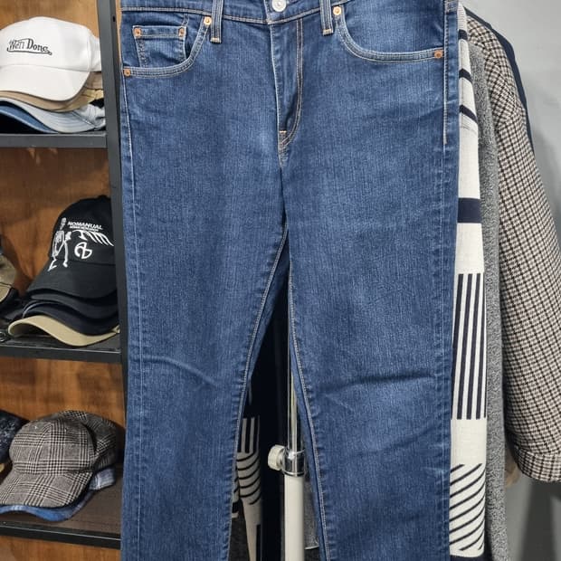 (L E V I S 511) 프리미엄 bigE 추동용(웜진) 30~31