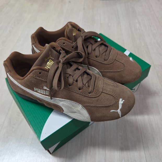 스피드캣 브라운 245