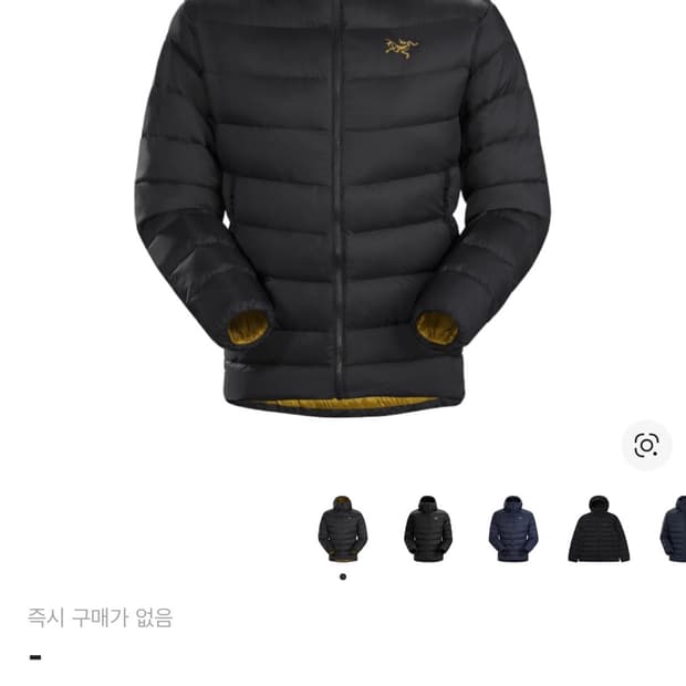 아크테릭스  토튬 AR 후디 L