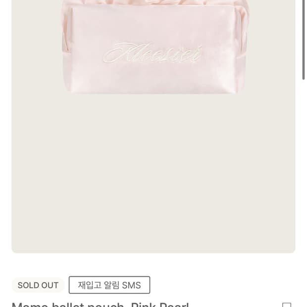 구해요) 클리시어 파우치 (모모 발렛 파우치)