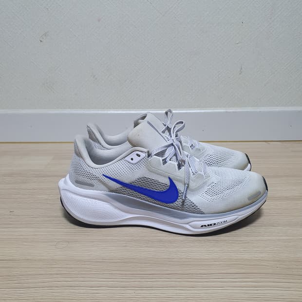 나이키 페가수스 41 러닝화 260