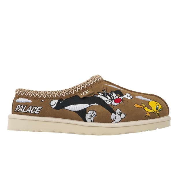 팔라스 x 어그 타스만 체스트넛 