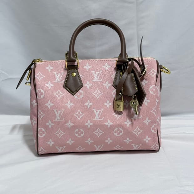 루이비통 스피디25 캔디