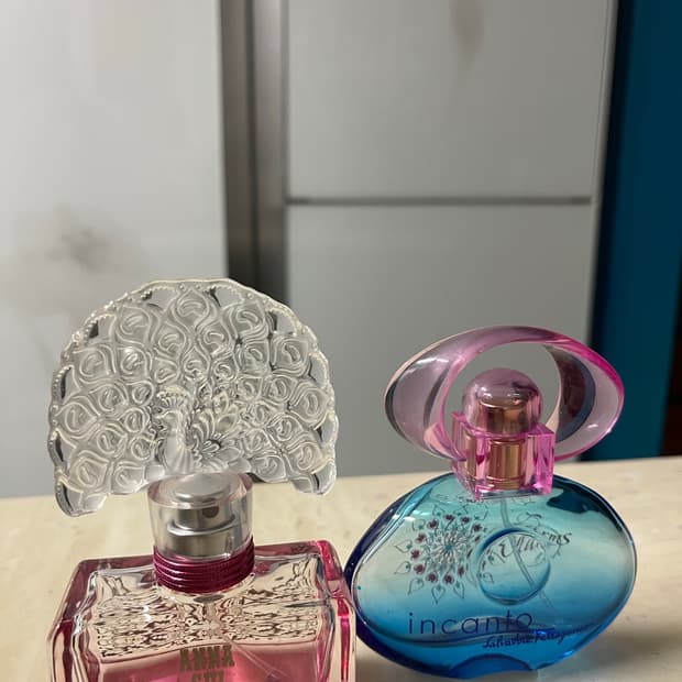 안나수이 페레가모 향수공병 2개