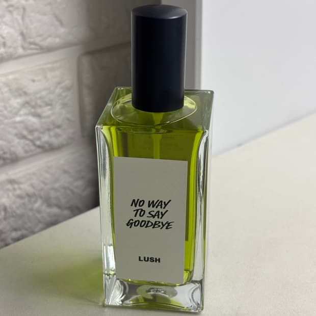 러쉬 노웨이투세이굿바이 100ml