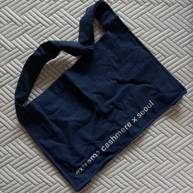 extreme cashmere x seoul bag