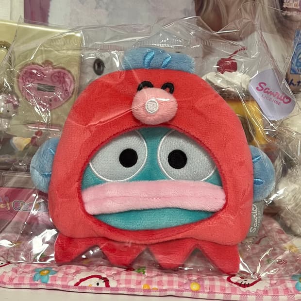 한교동 문어 파우치 
