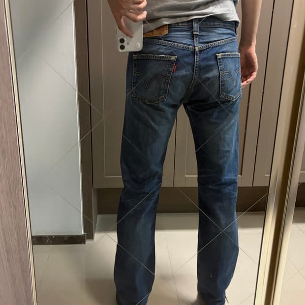 [Levi’s 501 W29 | L32]