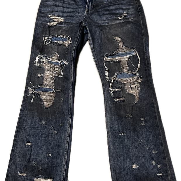 Regenzone 디스 플레어진