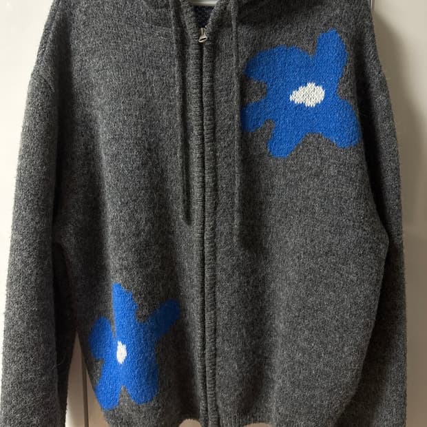 aeae daisy knit hoodie