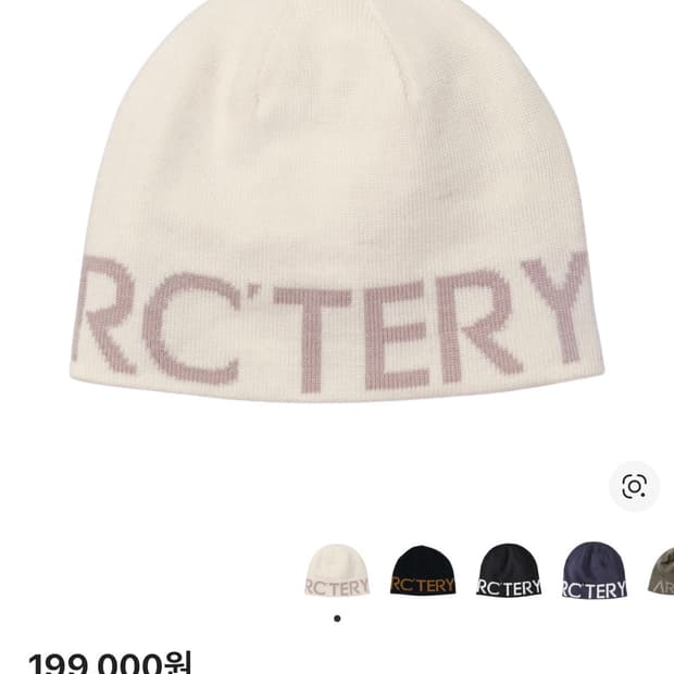 아크테릭스 아크틱 실드 비니