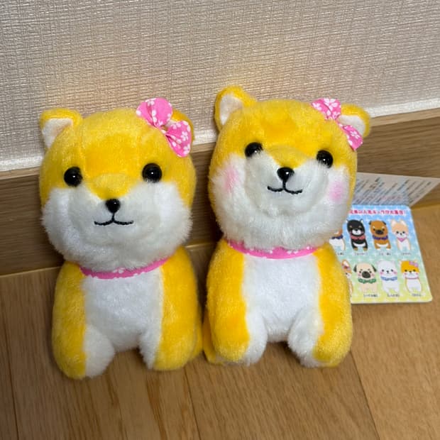 일본 어뮤즈 시바견 강아지 키링 마메시바