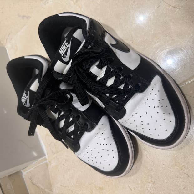 나이키 덩크 로우 범고래 250 