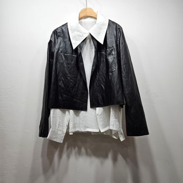 여리여리한 느낌의 빅카라 블라우스 [새상품] Free