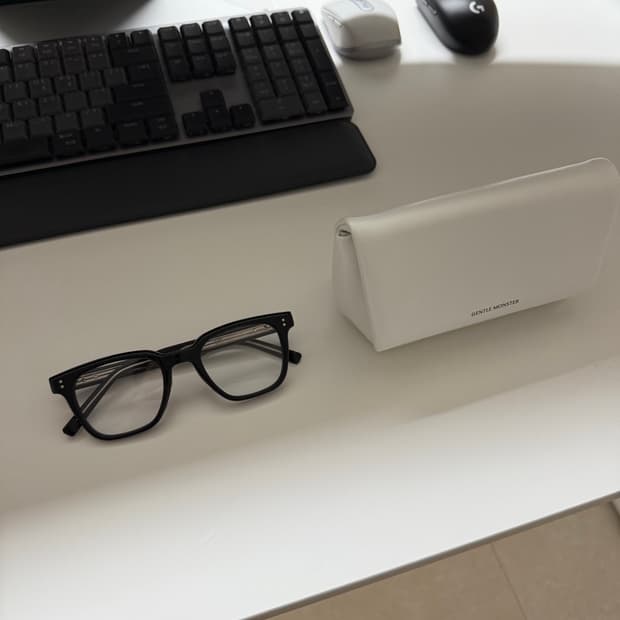 젠틀몬스터 칼 KARL 01 블랙