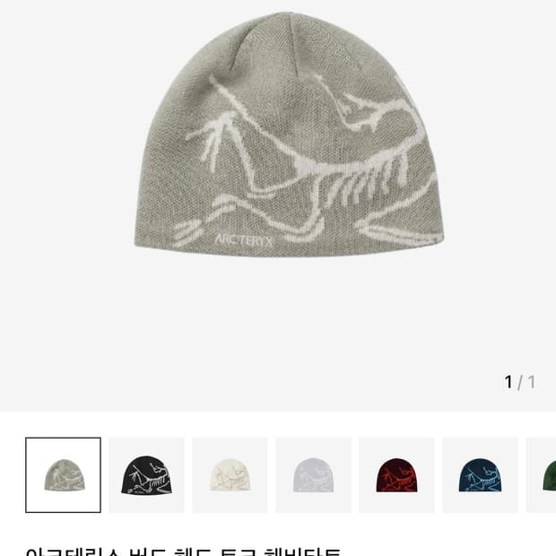 아크테릭스 버드 헤드 토크 비니