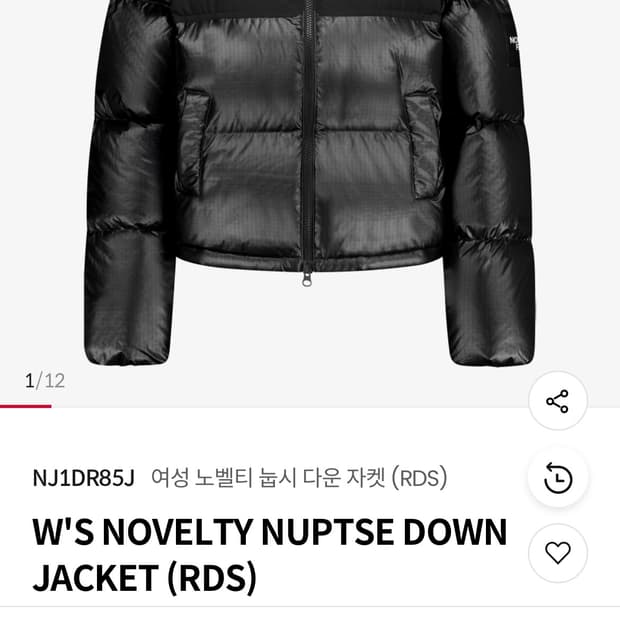노스페이스 W'S NOVELTY NUPTSE DOWN JACKET