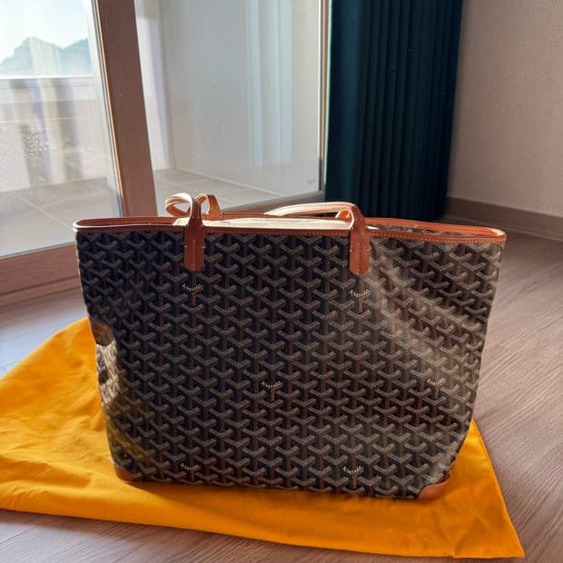 고야드 아르투아 백 mm