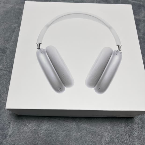 에어팟맥스 실버 팝니다.