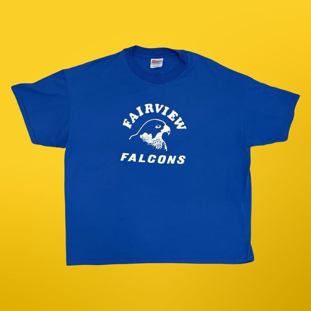 hanes Falcons 티셔츠
