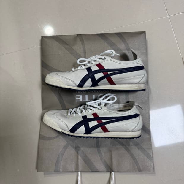 오니츠카 타이거 맥스코245