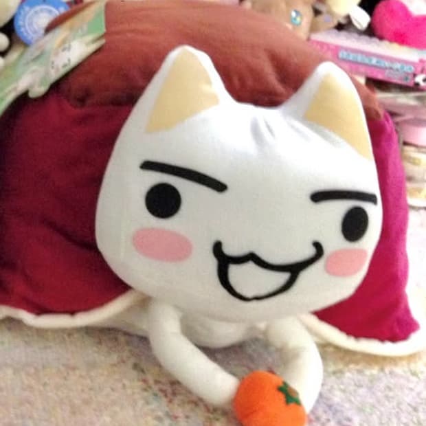 토로 귤 코타츠