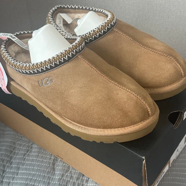 어그 타스만 체스넛 사이즈8