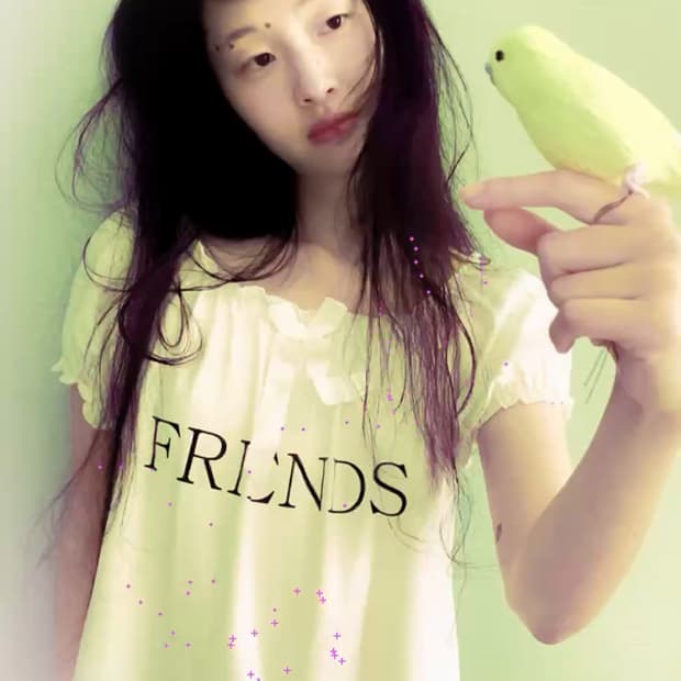 샵페어리 petit lady sleep blouse 블라우스