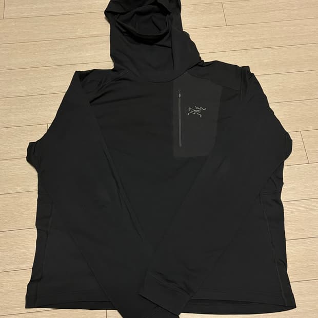 (XL) 아크테릭스 RHO LT 후드 블랙