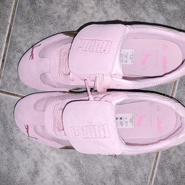 오픈와이와이 푸마 스피드캣