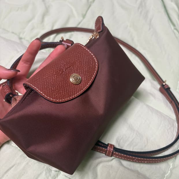 롱샴 미니백 브라운