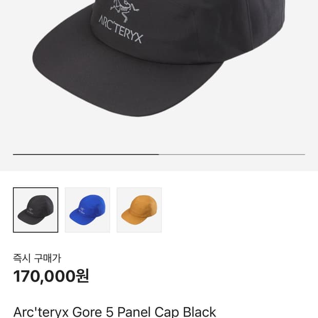 아크테릭스 고어5