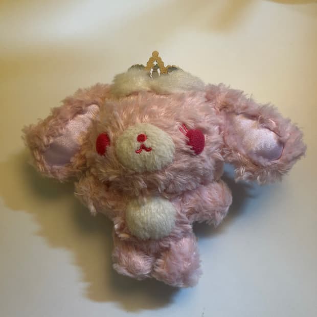 #슈가바니즈 발레우사# 슈가바니즈