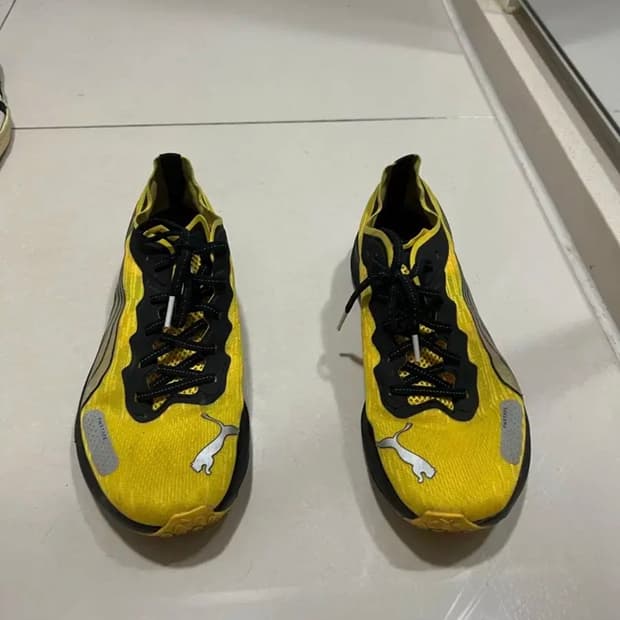 푸마발란사리버레이트