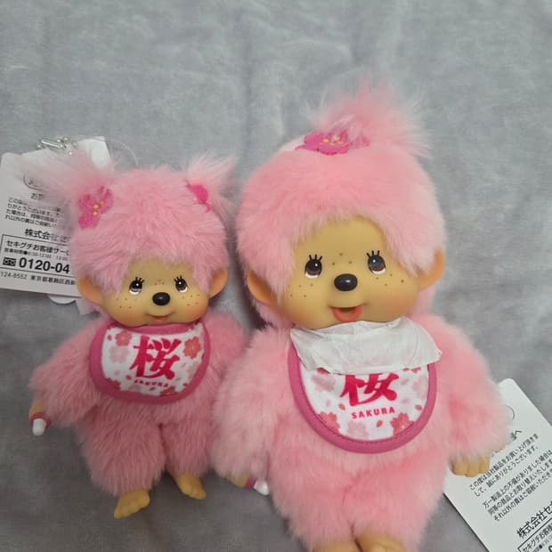 사쿠라 2개 세트