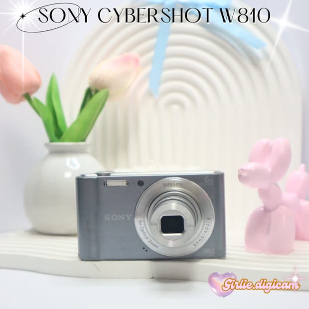 아이브레이디카 !)) 소니 사이버샷 W810 - SONY W810