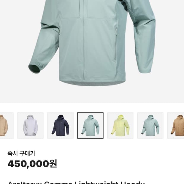아크테릭스 감마 라이트웨이트 후디 L
