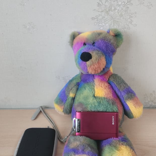 소니 디지털 카메라 DSC-T200