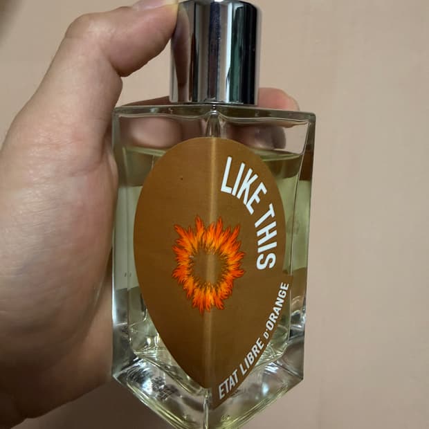 [국문택정품] 에따리브르도랑쥬 라이크디스 100