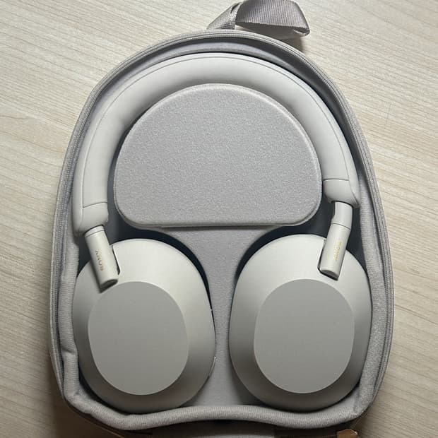 Sony WH-1000XM5 Silver