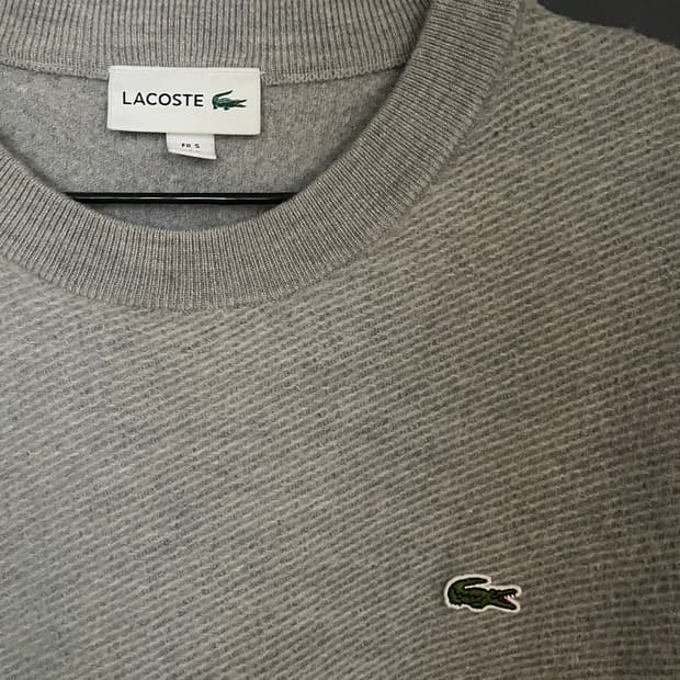 라코스테 그레이 양모100 니트