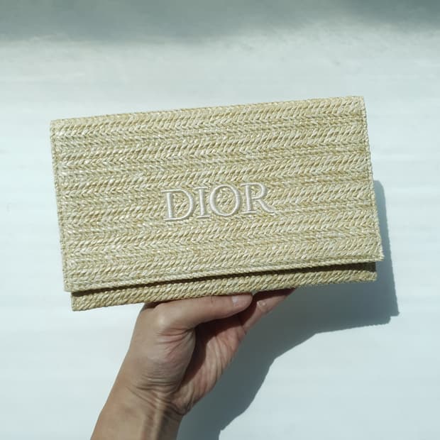 Christian Dior Pouch Bag