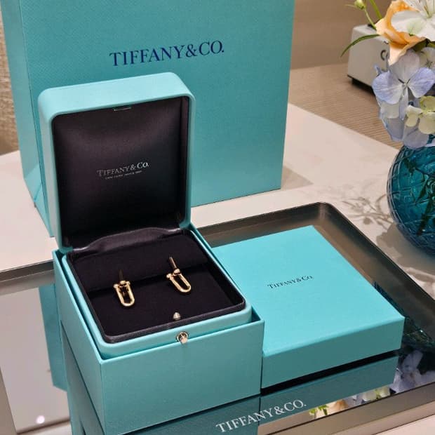 파니앤코 하드웨어 링크 이어링 미디움 사이즈