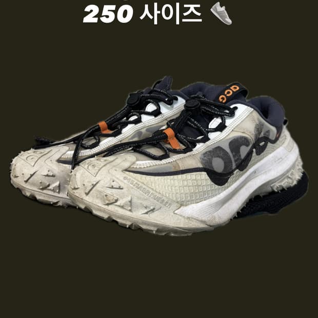 나이키 acg 마운틴플라이2 250
