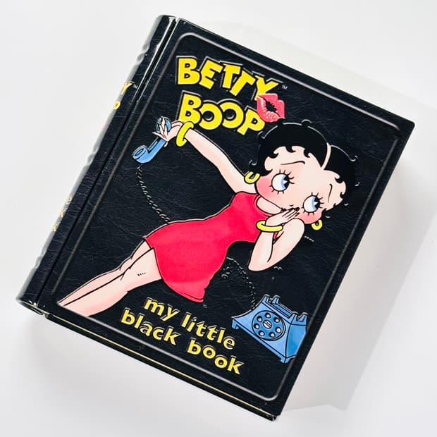 미국 빈티지 베티붑 틴 케이스 소품함